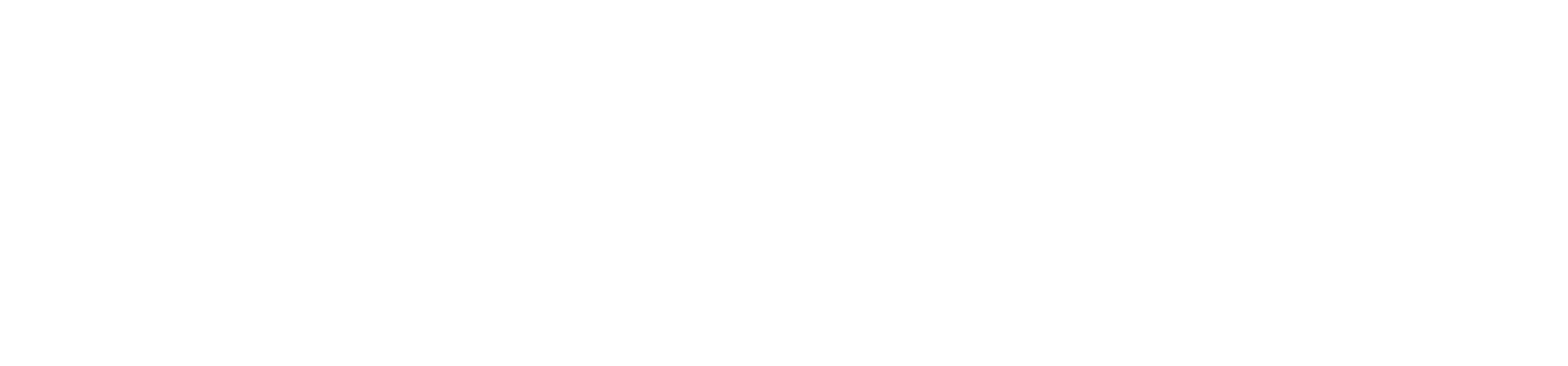 logo wit striccr